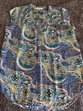 Daniel Rainn Turquoise Blue Paisley Blouse